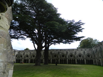 DSCN1437.JPG