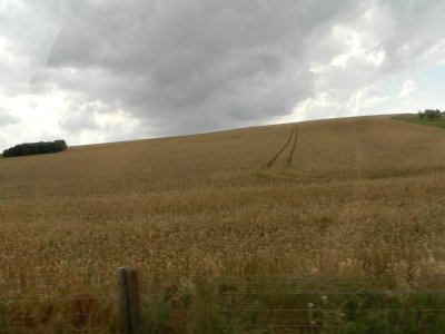 DSCN1458.JPG