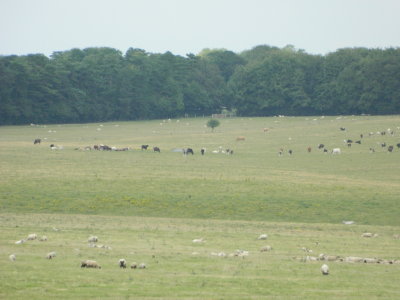 DSCN1463.JPG