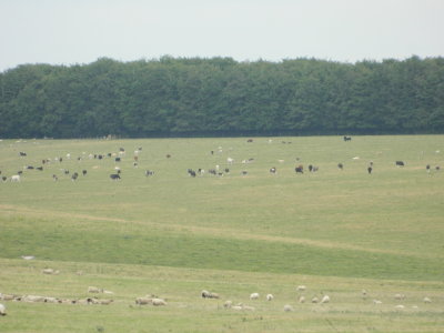 DSCN1464.JPG