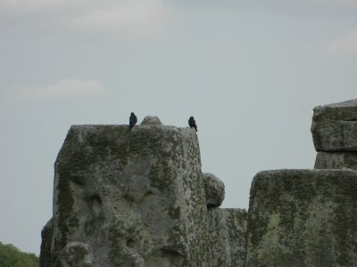 DSCN1476.JPG
