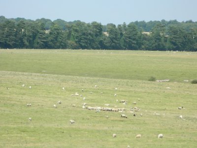 DSCN1484.JPG