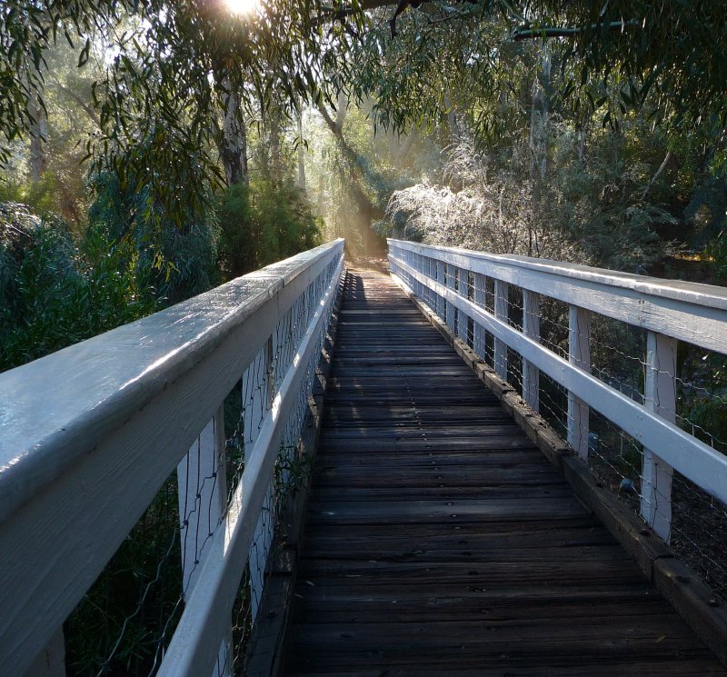 Bridge to a Place of Water Jewels