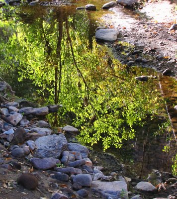 Queen Creek Reflections