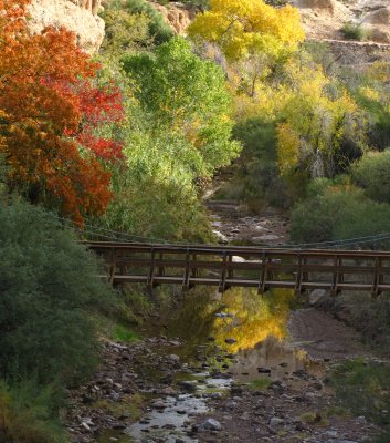 Suspension Bridge