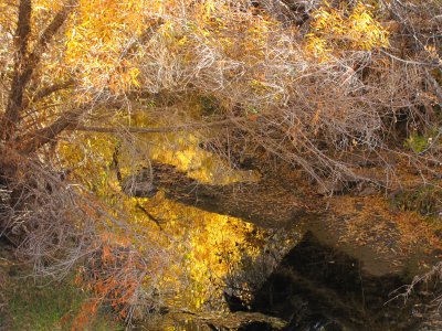 Reflections in Queen Creek