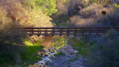 View of suspension bridge from the high trail