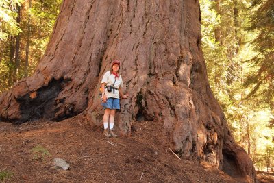 Tammy by a Giant Sequoia