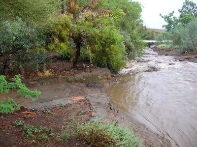 Thick Mud Covering the Main Trail at the East side of Silver King Crossing