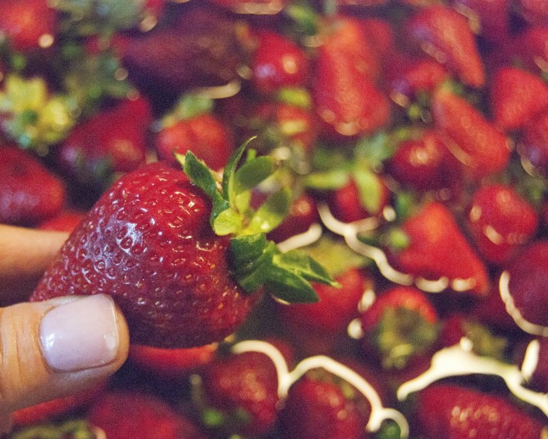 Strawberry Season