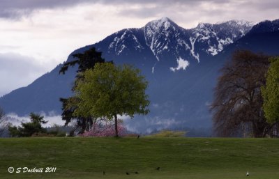 IMG_6711.jpg