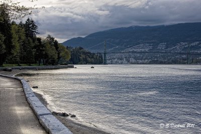 IMG_6726.jpg