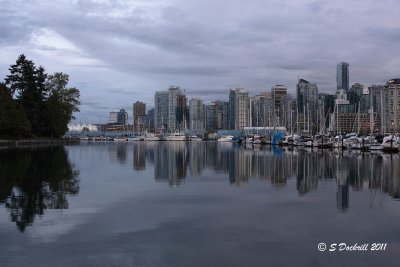 IMG_6741.jpg