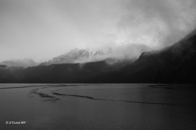 IMG_6822.jpg