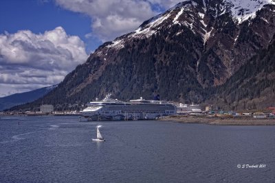 IMG_6901.jpg
