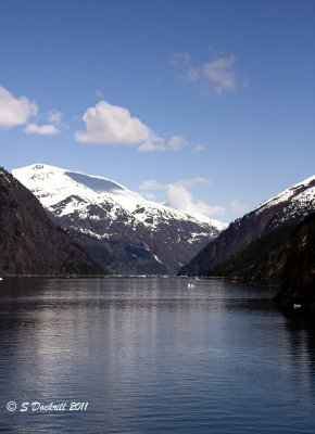 IMG_6948.jpg