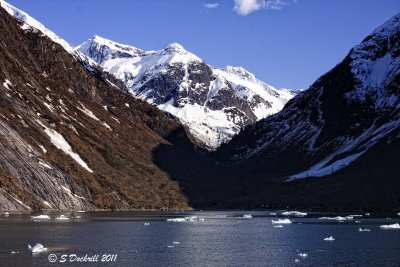 IMG_6979.jpg