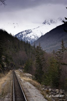 IMG_7109.jpg