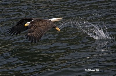 IMG_7263.jpg