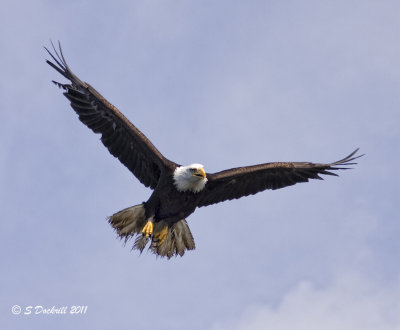 IMG_7264.jpg