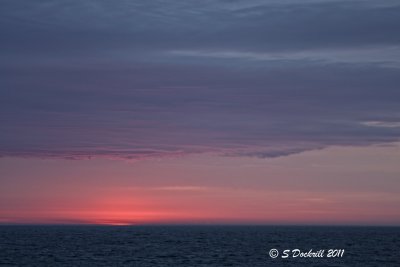 IMG_7344.jpg
