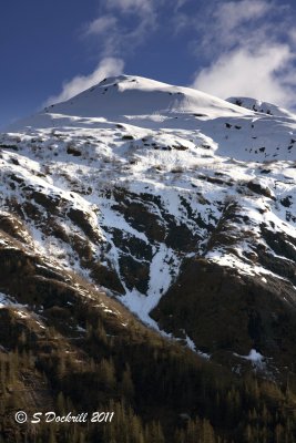 IMG_6977.jpg