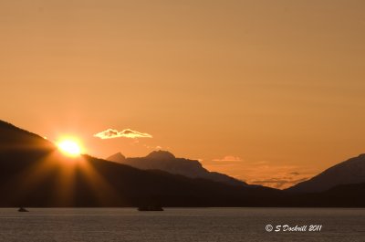 IMG_7068.jpg
