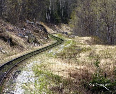 IMG_7101.jpg
