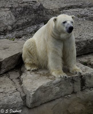 _MG_8925.jpg