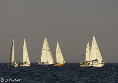 sail_races