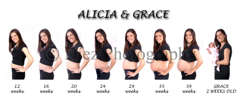 Pregnancy progression uncovered 2