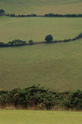 DSC_0101.JPG