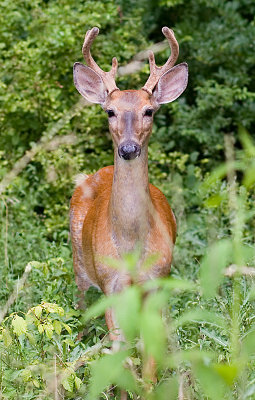 Cleveland Metroparks