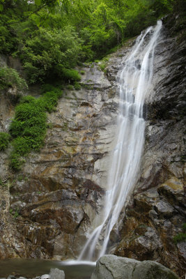 Wild rock surface