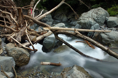 A log bridge to pass