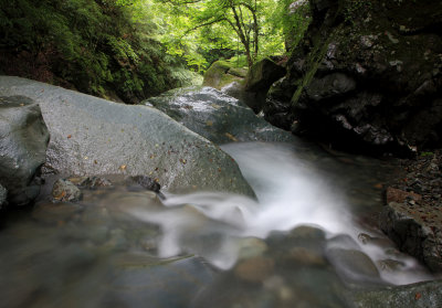 Clear and refreshing stream