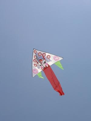 A Big Kite