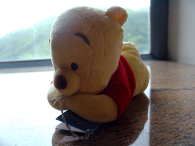 Pooh-Pooh