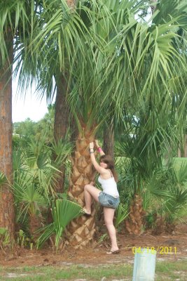 100_3505.JPG