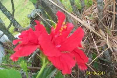 100_3502.JPG