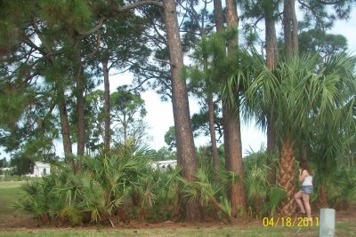 100_3506.JPG