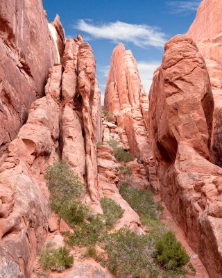 Firey Furnace _MG_8307.jpg