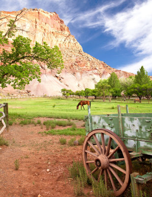 Fruita Farm _MG_7427.jpg