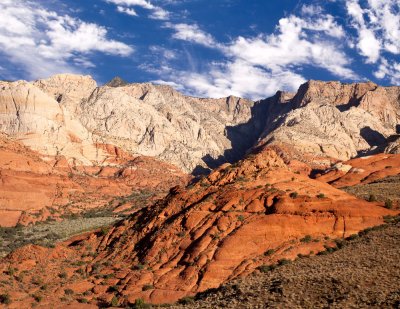 Snow Canyon - See Trees for Scale _2.jpg