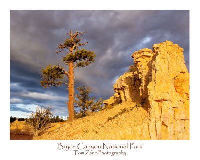 _MG_9688 Bryce Canyon.jpg
