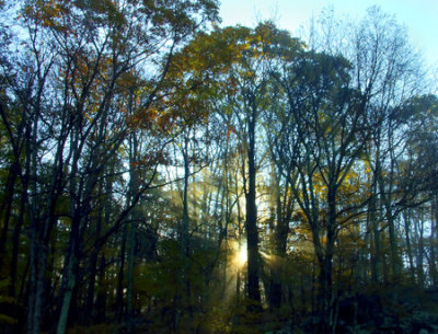 Virginia Sunrise Skyline Drive _MG_1333.jpg