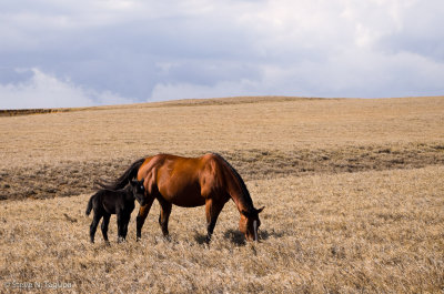 g4/67/759567/3/140583504.oiqLh8xk.jpg