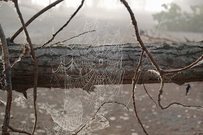 Along the Missouri River, Ponca, NE, Sept. 2011