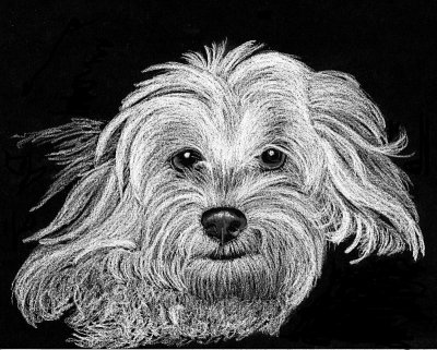 Dolly - charcoal, 8 x 11