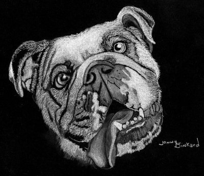 Bulldog - charcoal, 8 x 11